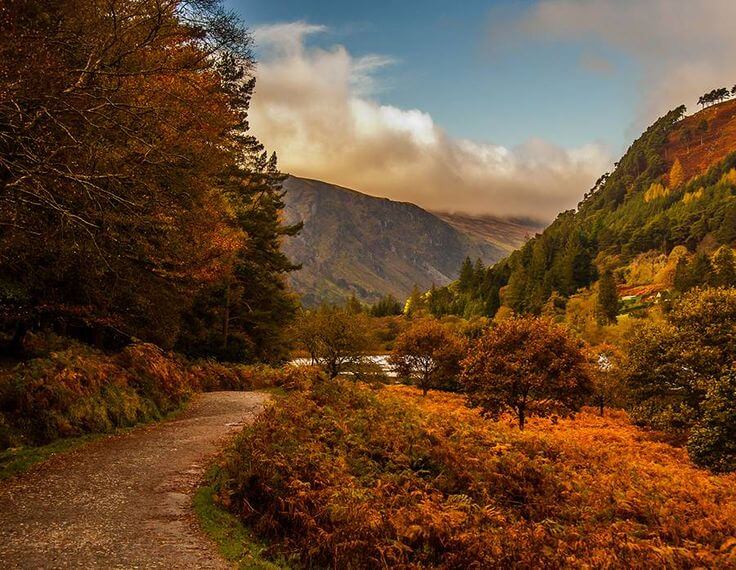 Autumn colors in Ireland Guide