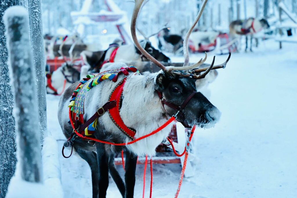 Rovaniemi Christmas & Winter Festival – Lapland, Finland Best Winter Festivals in Europe: