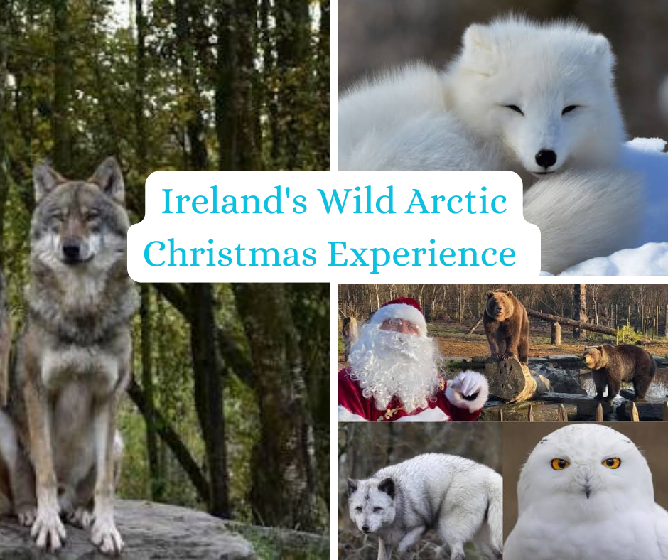 Wild Ireland Wild Arctic