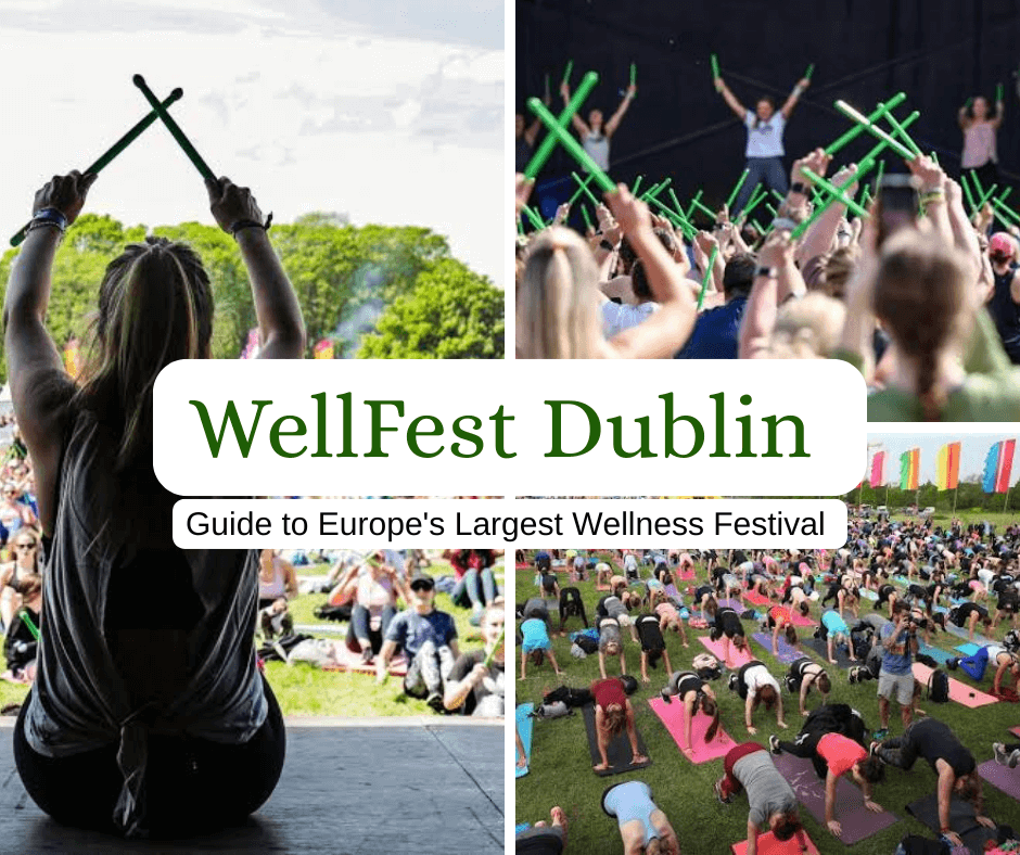 wellfest dublin guide