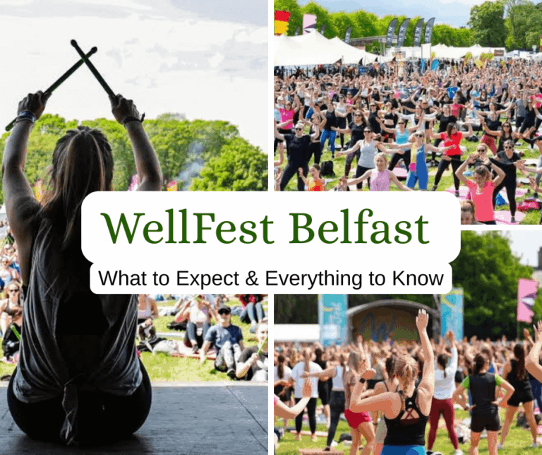 WellFest Belfast Guide