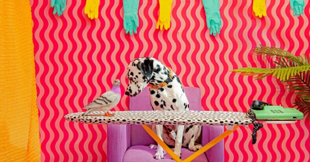  Galway Theatre Festival