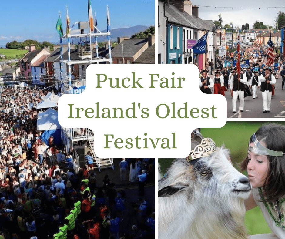 Puck Fair Guide