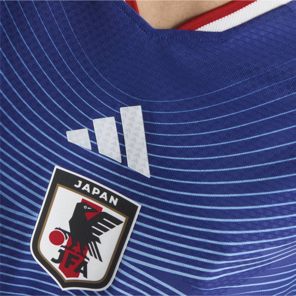 Japan FIFA World Cup