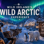 Wild Ireland's Wild Arctic Guide feature image