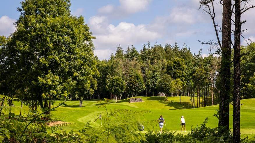 15 Best Golf Courses in Ireland to Play Before the Ryder Cup 2027 - Portumna Golf
